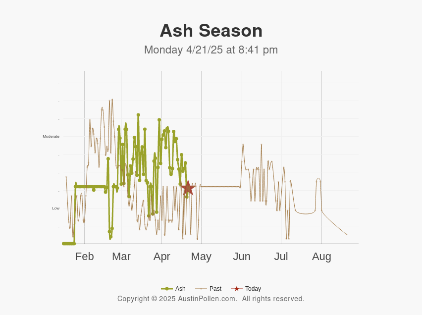 Austin Pollen Austin pollen count allergy mold cedar ragweed new