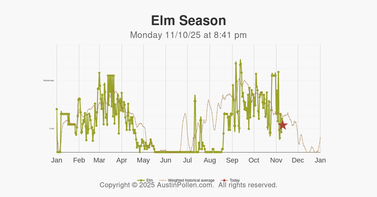 Austin Pollen Elm pollen count history average trend allergy