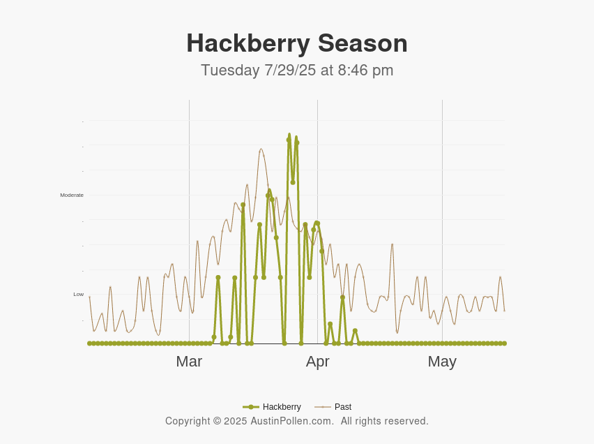 Austin Pollen Austin pollen count allergy mold cedar ragweed new