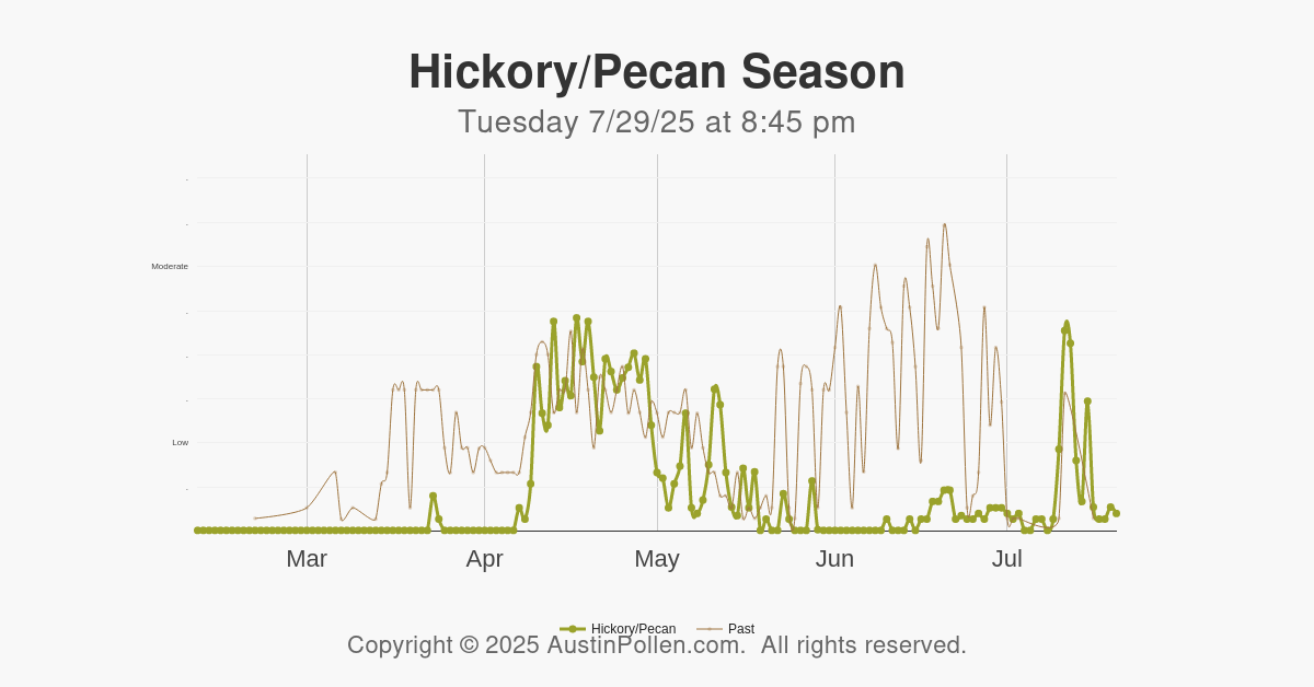 Austin pollen austin pollen count allergy mold cedar ragweed new