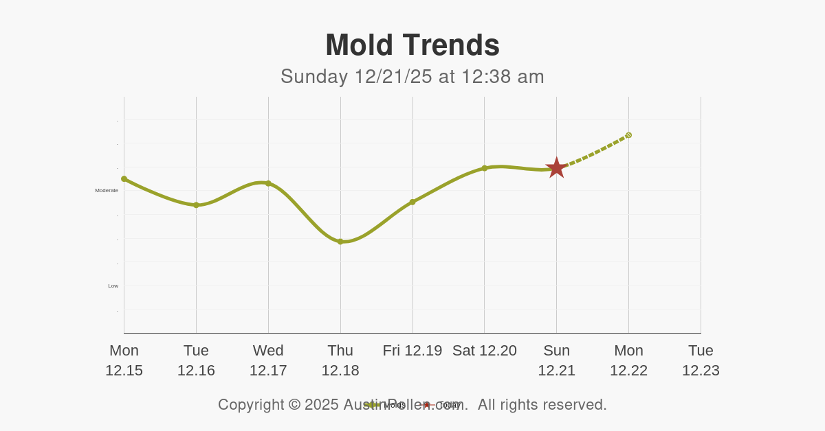 Austin Pollen Austin mold count allergy rain sneeze all sources