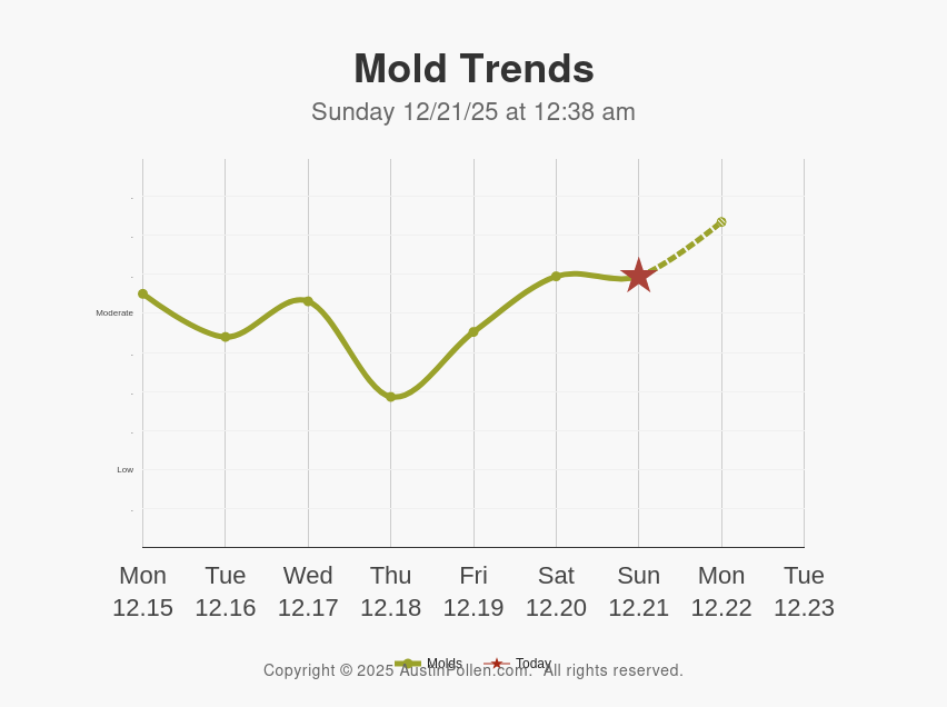 Austin Pollen Austin mold count allergy rain sneeze all sources