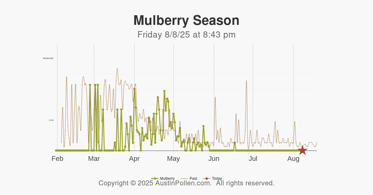 Austin Pollen Austin pollen count allergy mold cedar ragweed new