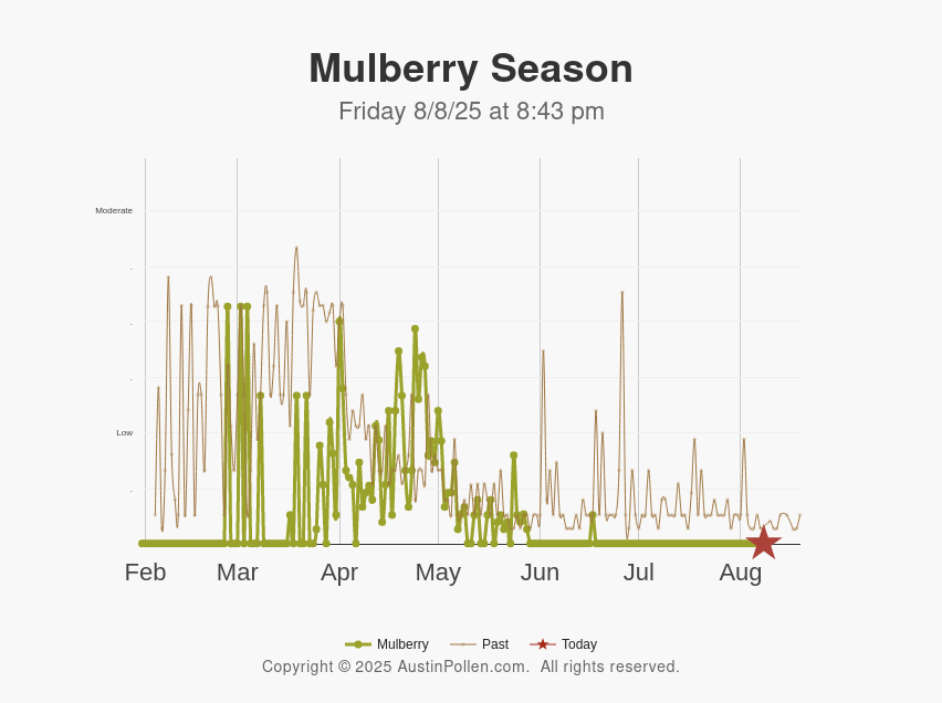 Austin Pollen Austin pollen count allergy mold cedar ragweed new