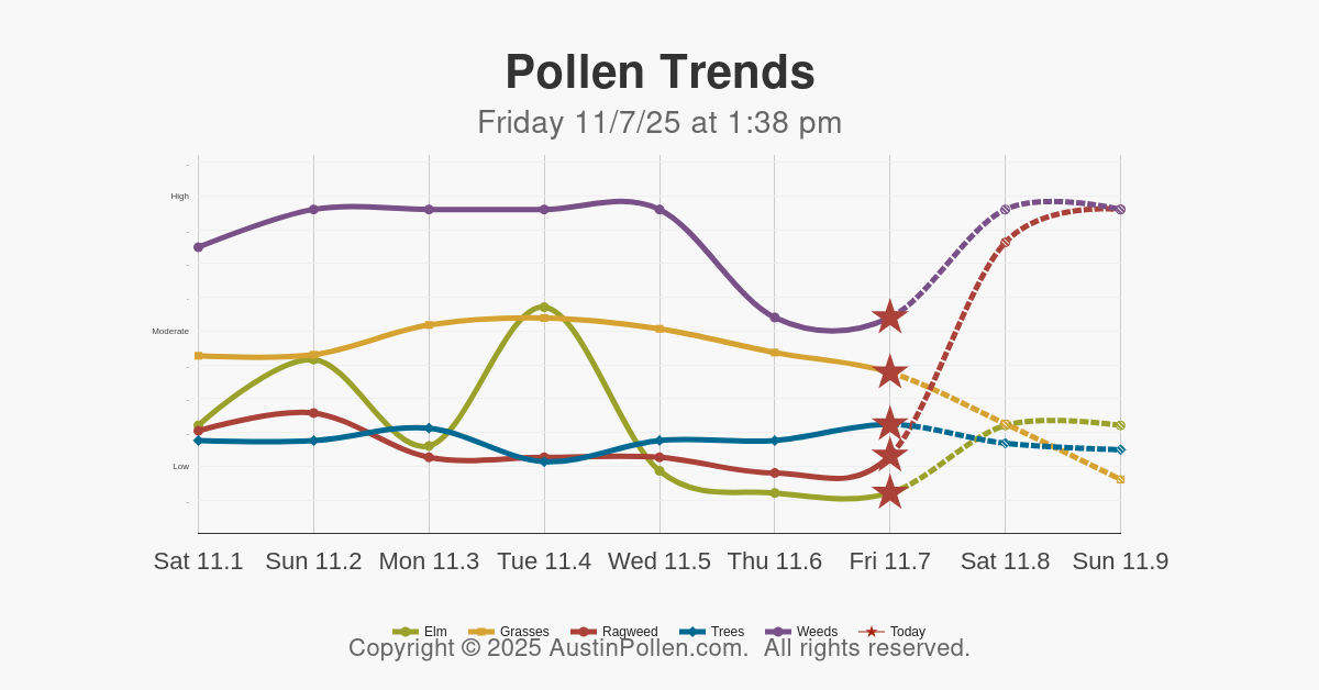 Austin Pollen Austin pollen count allergy allergies sneeze trends